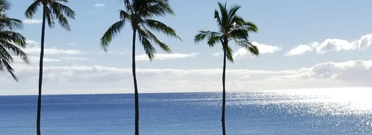 User Success Story: Retirement Celebration in Hawaii